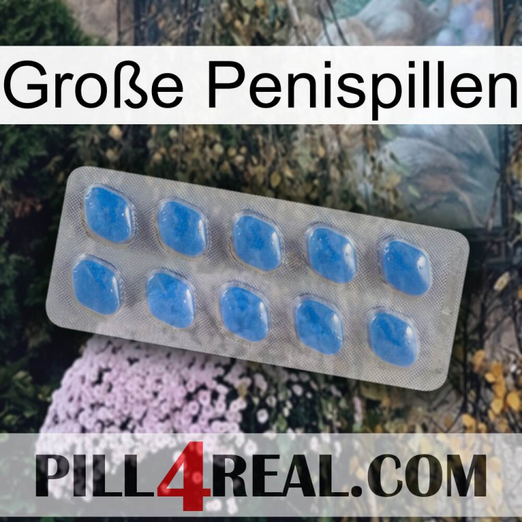 Große Penispillen 22